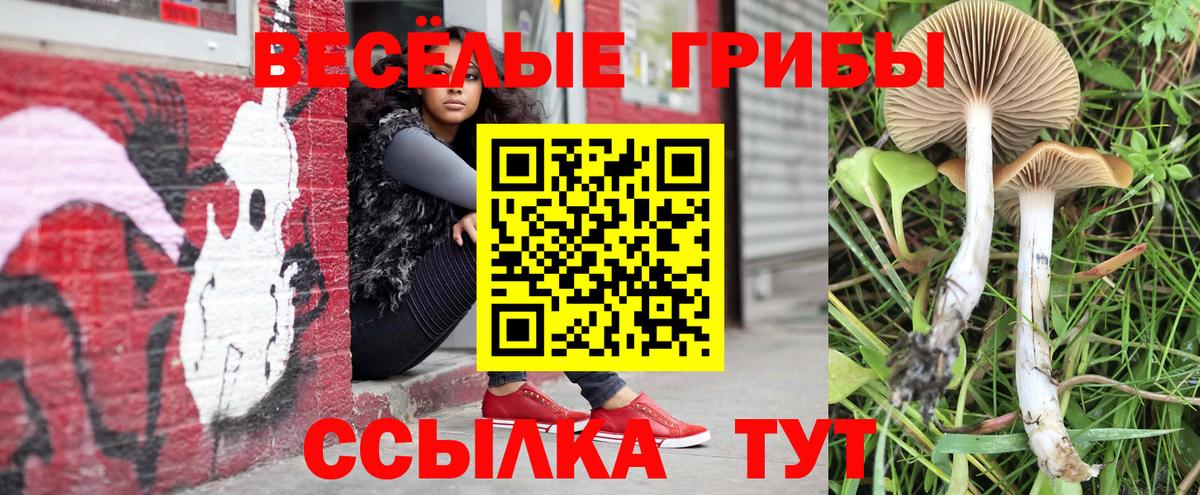 Галлюциногенные грибы прущие грибы  Вход с VPN  купить  сайты  Ростов-на-Дону  Псилоцибиновые грибы мицелий 